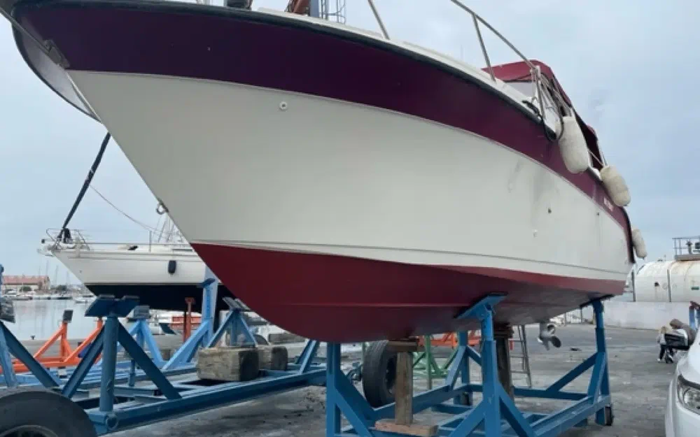 slider 21 Carver 2557 Montego