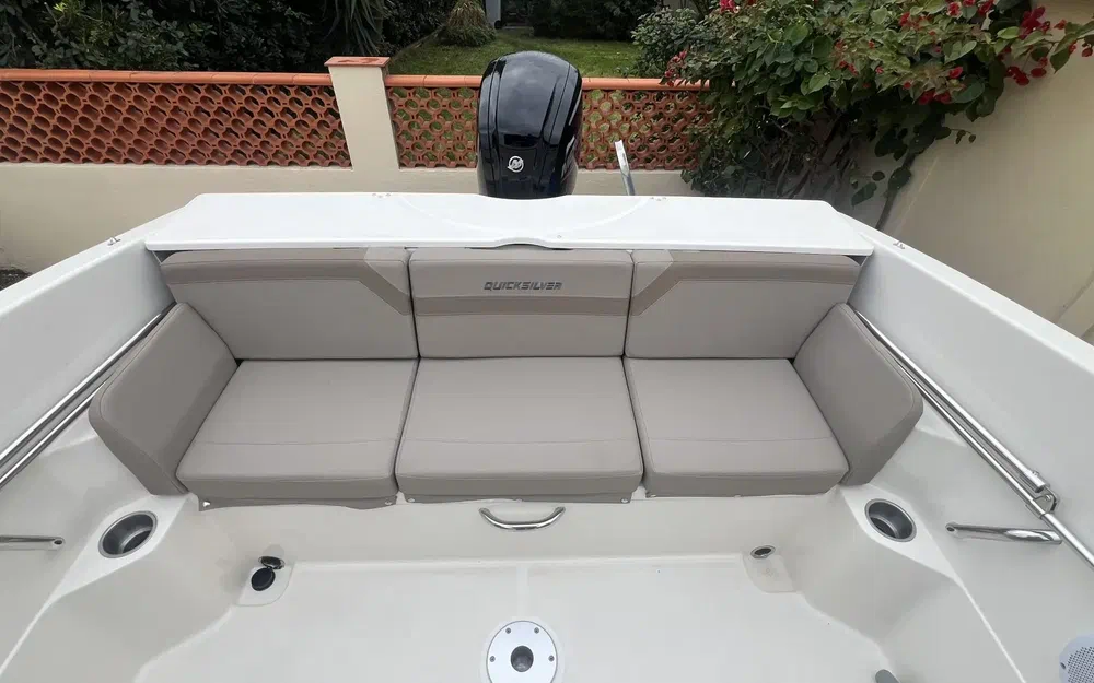 slider 9 Quicksilver 595 Cruiser