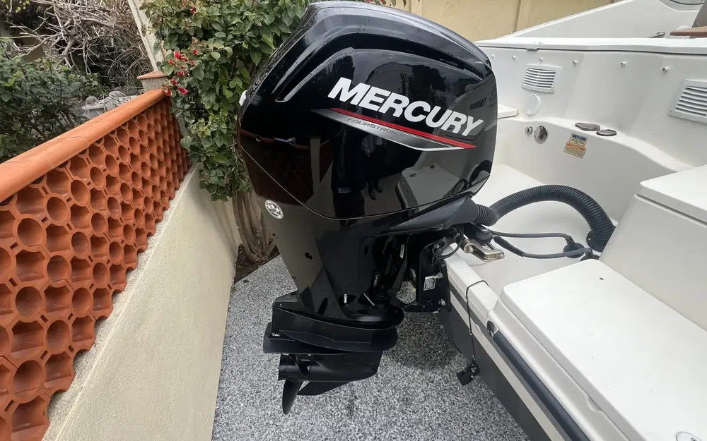 slider 5 Quicksilver 595 Cruiser