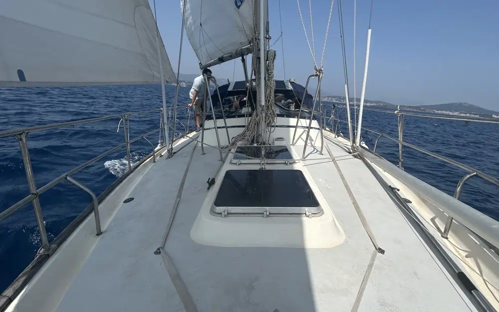 slider 1 Wauquiez Amphora