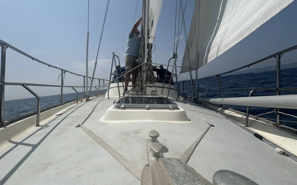 slider 20 Wauquiez Amphora