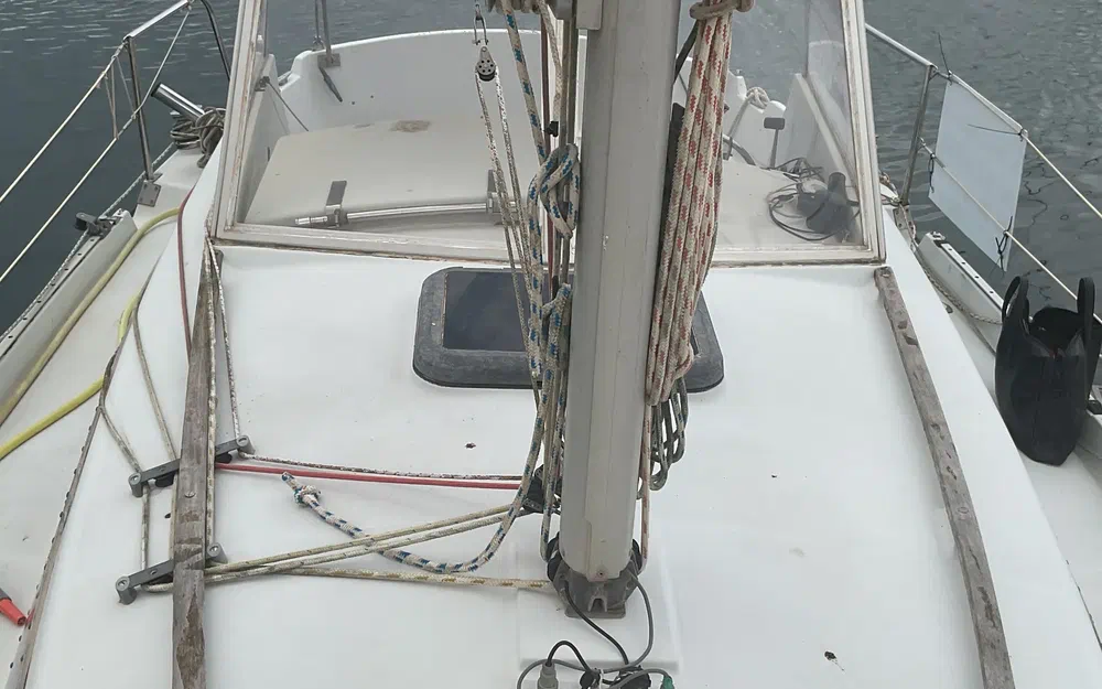 slider 8 Kirie Fifty 24