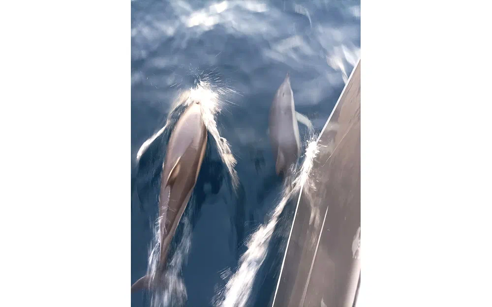 slider 10 Jeanneau Sun Odyssey 45 DS