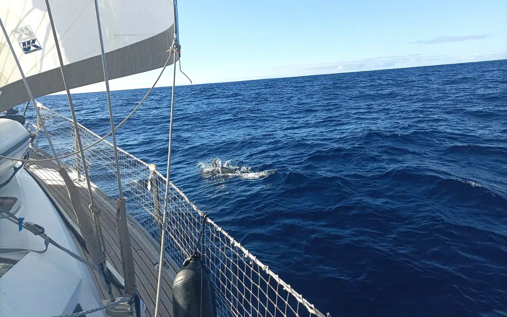 slider 21 Jeanneau Sun Odyssey 45 DS