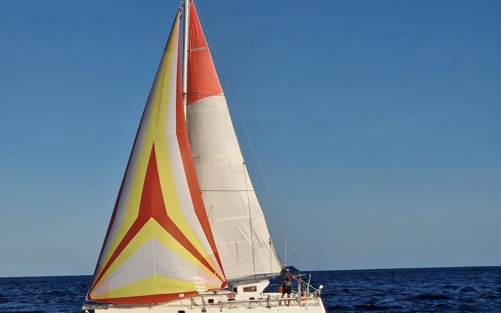 slider 9 Bepox 10.50