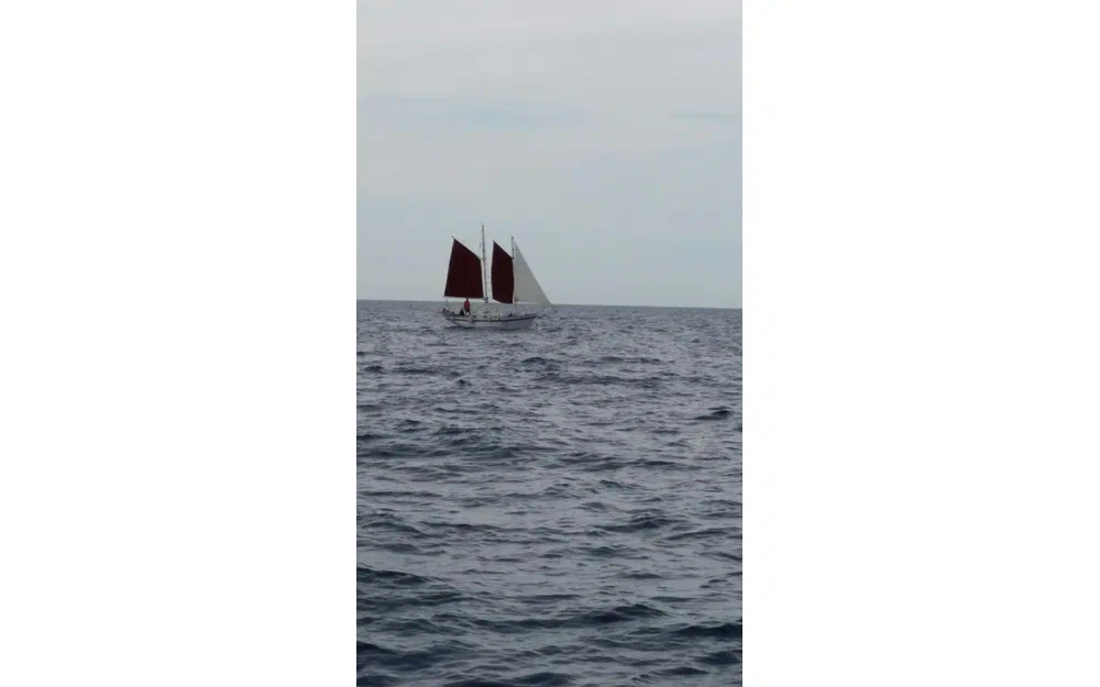 slider 5 Chantier Amateur Coque bois