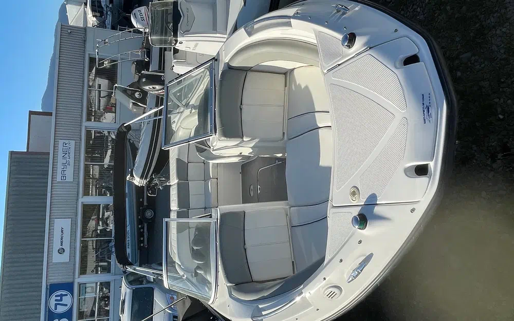 slider 10 Bayliner 235 BR