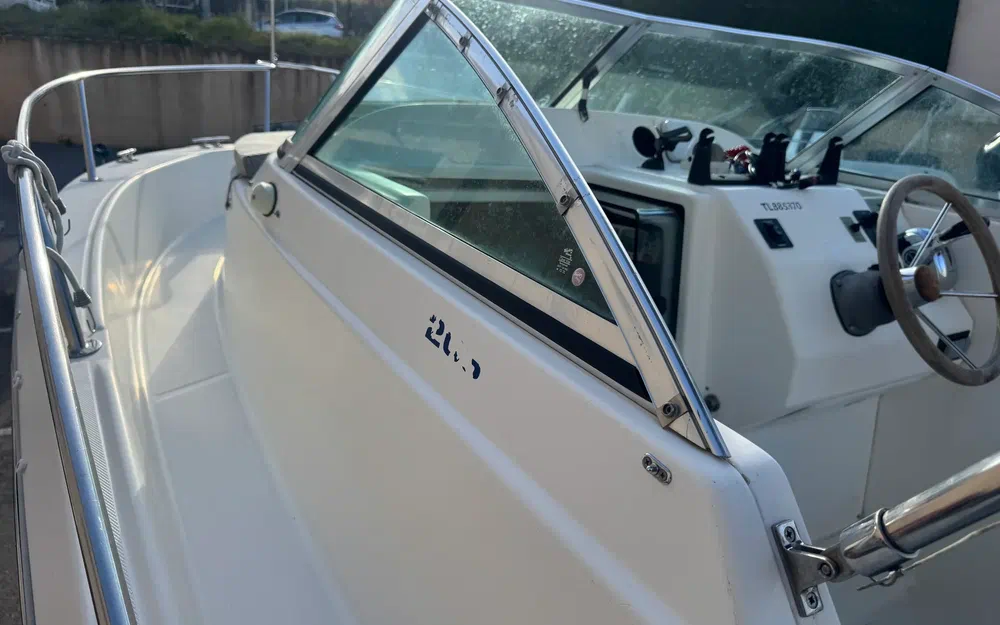 slider 11 White Shark 206 WA Club