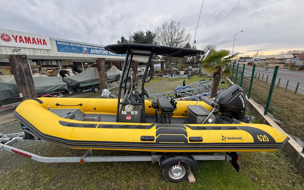 slider 0 Narwhal HD 620