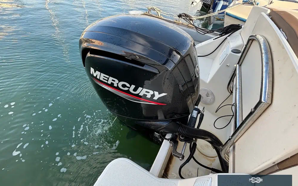 slider 22 Quicksilver Activ 555 Cabin