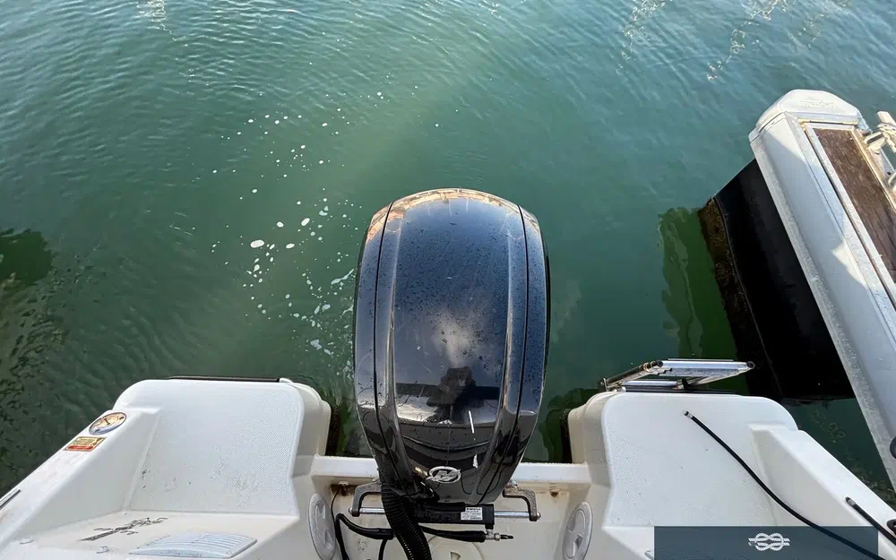 slider 23 Quicksilver Activ 555 Cabin