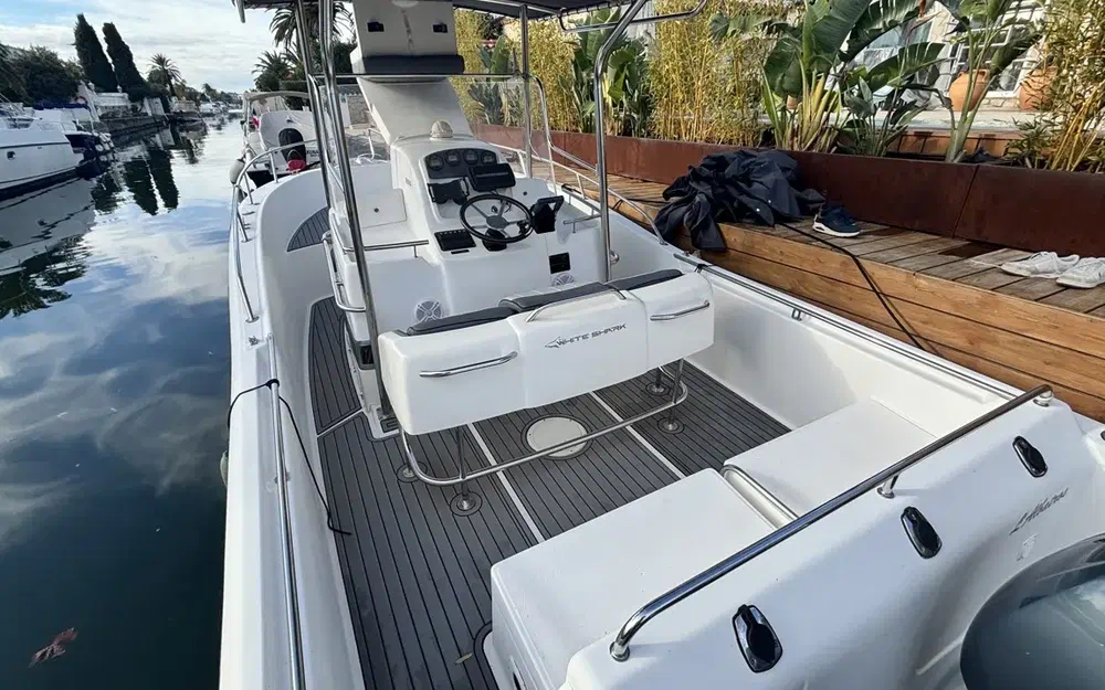 slider 1 Kelt White Shark