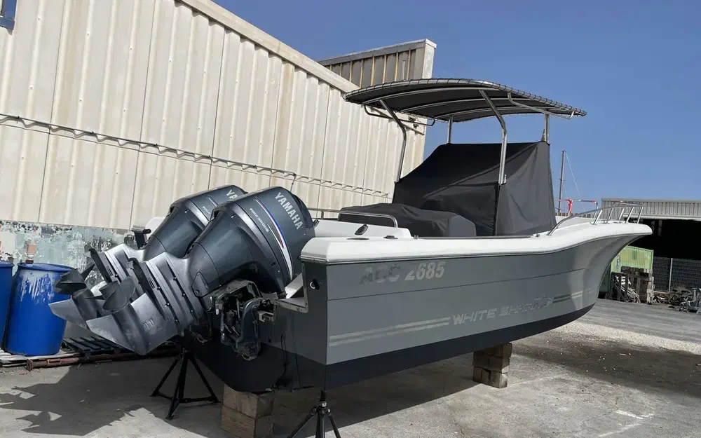 slider 19 Kelt White Shark