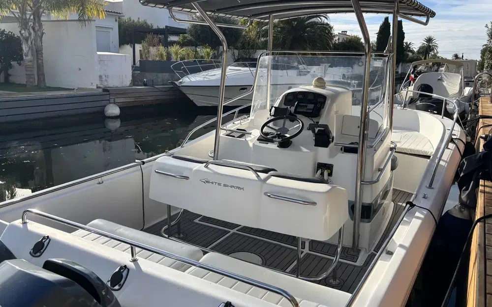 slider 2 Kelt White Shark