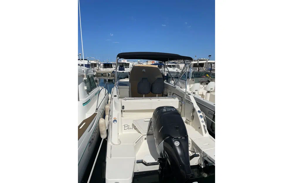 slider 5 Quicksilver Activ 805 Sundeck