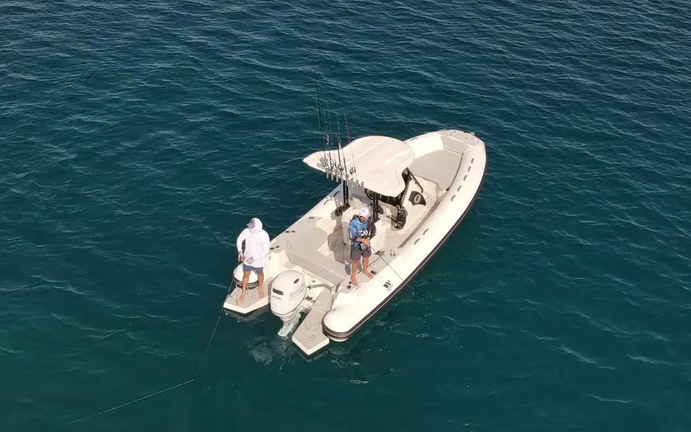 slider 1 Tiger Marine 750 TOP LINE