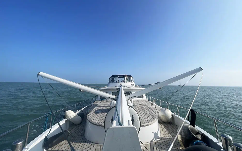 slider 0 Vedette Hollandaise Acier