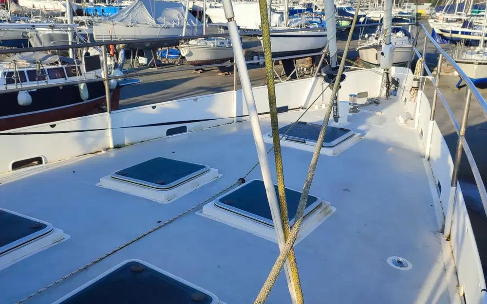 slider 9 IDEC Marine Concerto 51