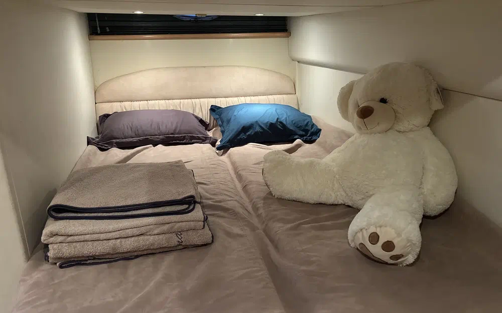 slider 29 Fairline Targa 36