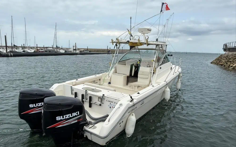 slider 4 Pursuit OS 305