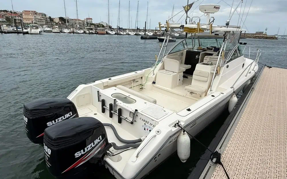 slider 23 Pursuit OS 305