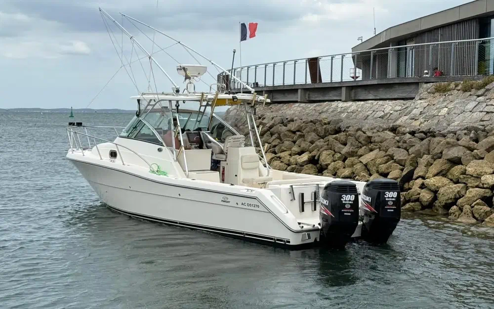 slider 1 Pursuit OS 305