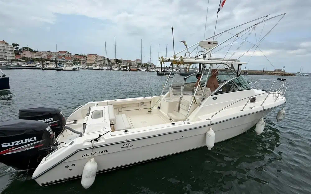 slider 2 Pursuit OS 305