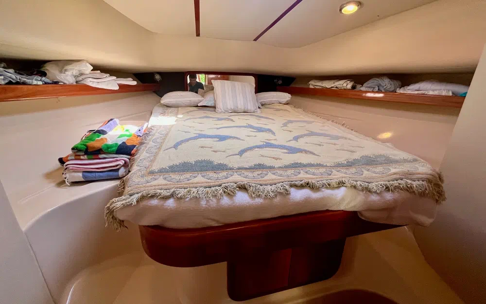 slider 13 Rodman 900 Fly