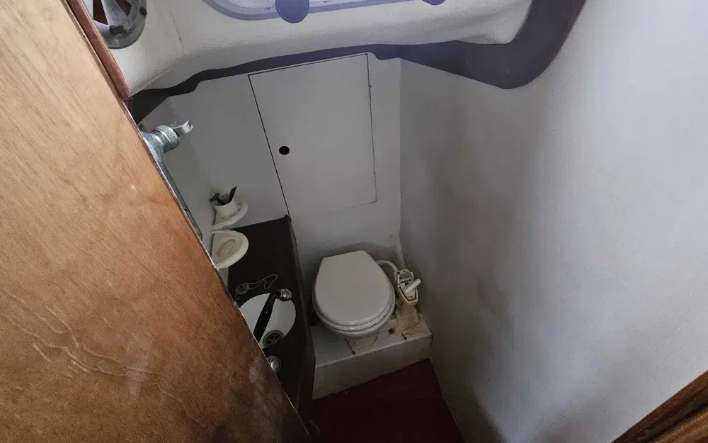 slider 8 Bruce Roberts 45 Spray