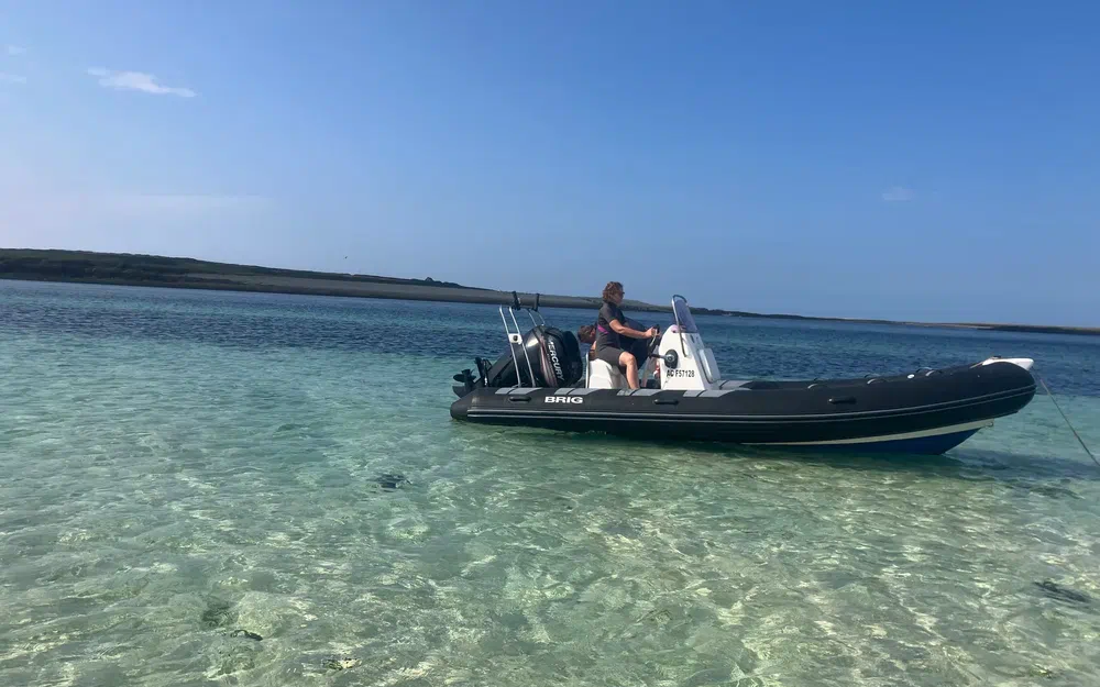 slider 10 Brig Falcon 570