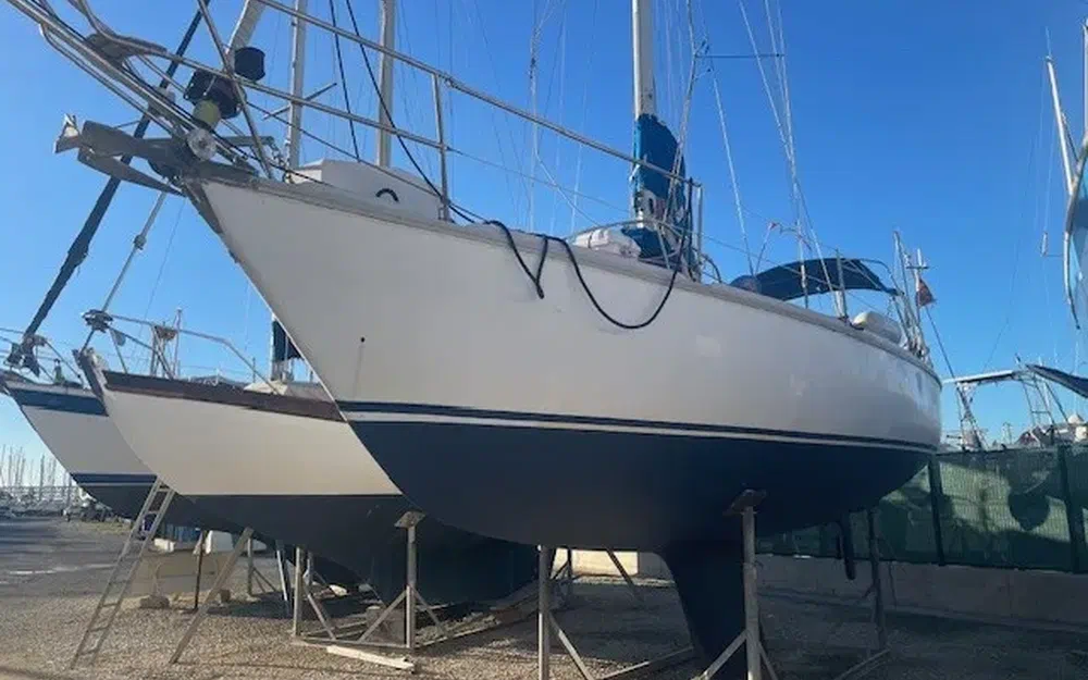 slider 0 Gibert Marine gin fizz