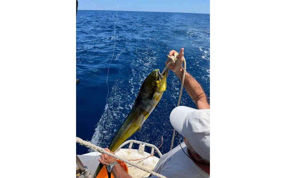 slider 4 Pouvreau Gauloises 3