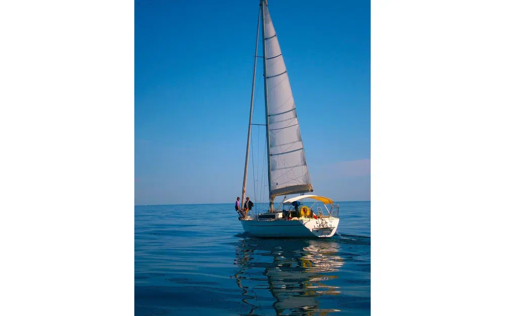 slider 0 Jeanneau Sun Shine 36