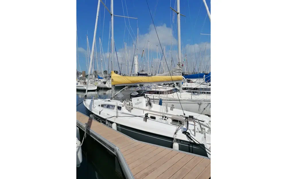 slider 6 B2 Marine Djinn 7