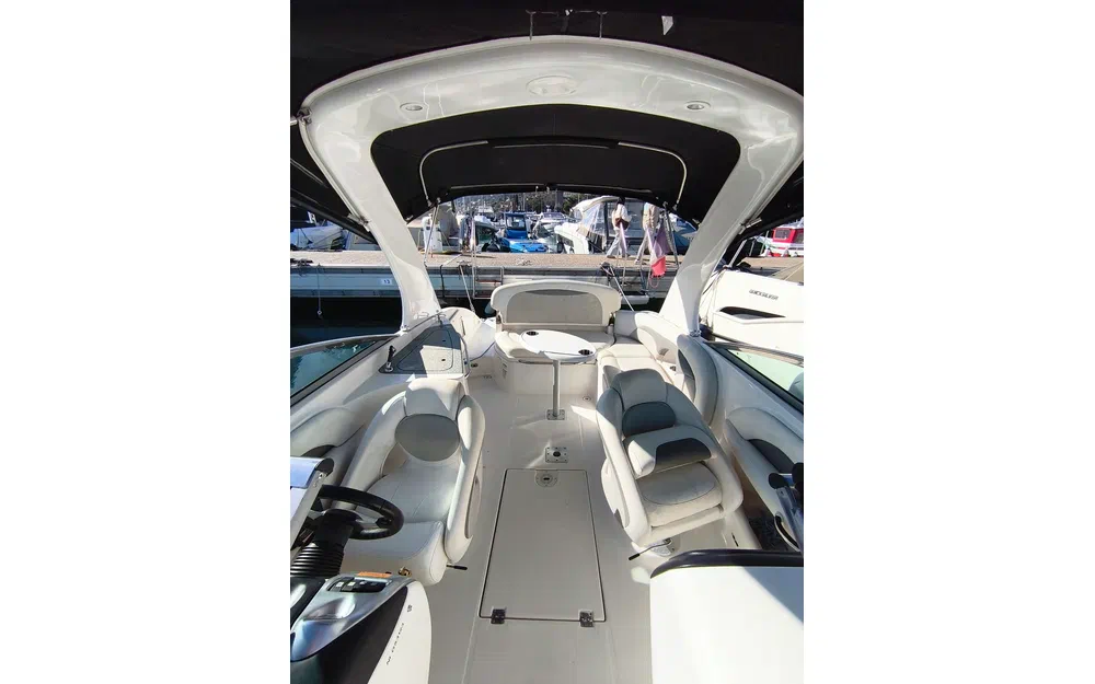 slider 15 Chaparral 256 SSX