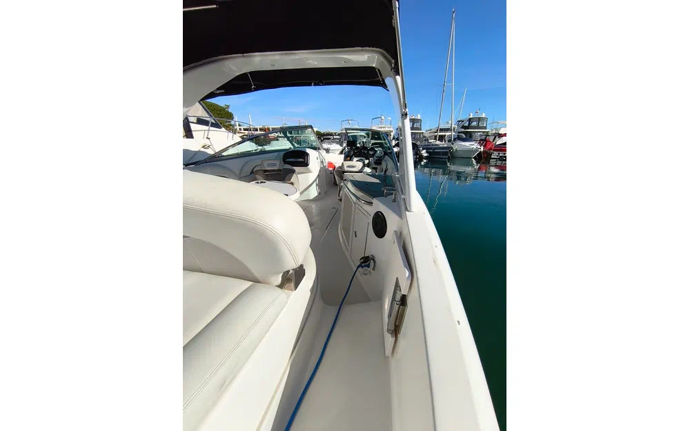 slider 18 Chaparral 256 SSX