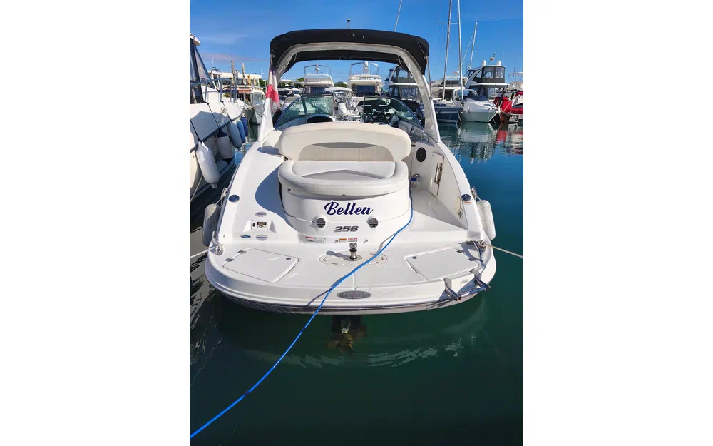 slider 2 Chaparral 256 SSX