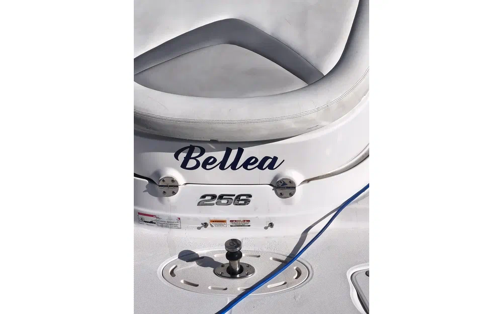 slider 33 Chaparral 256 SSX