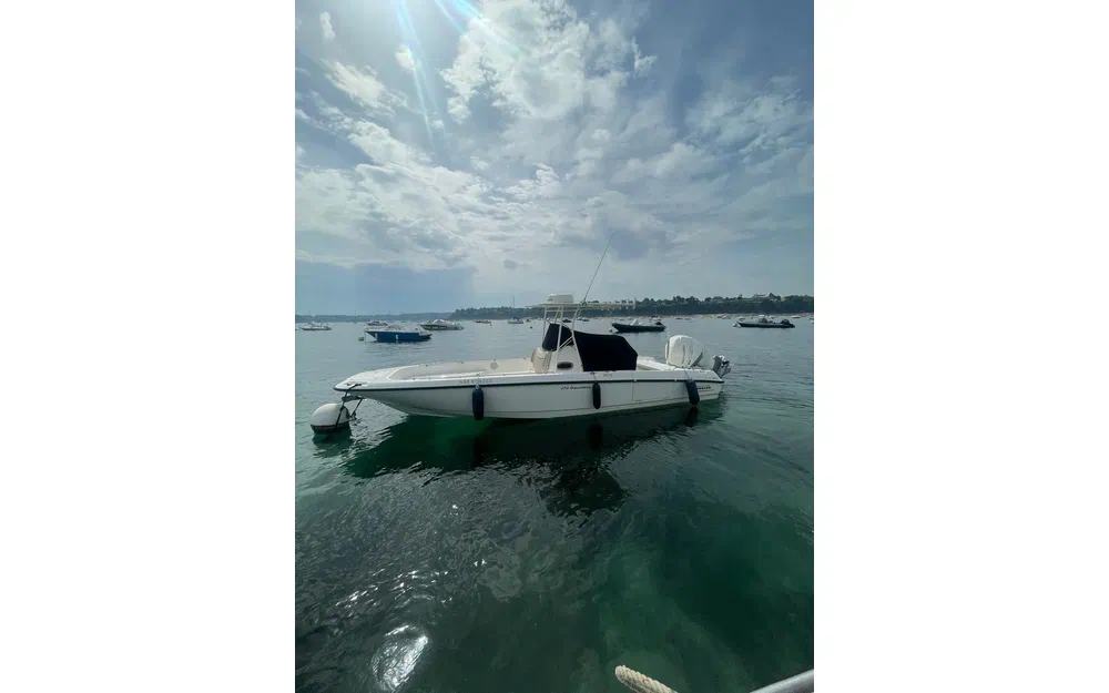 slider 2 Boston Whaler 270 Dauntless
