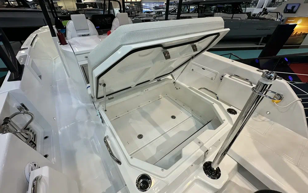 slider 11 Wellcraft 28 T-Top