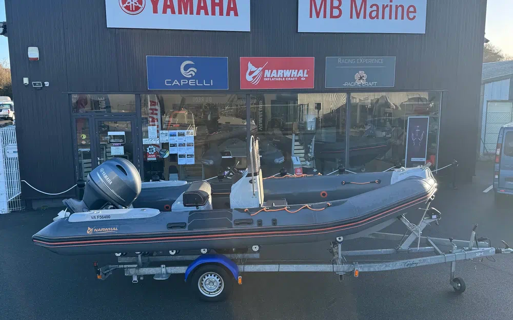 slider 0 Narwhal HD 580