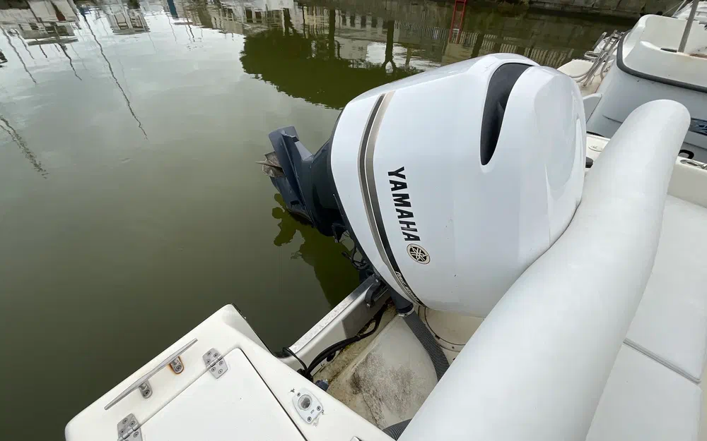 slider 10 White Shark 215