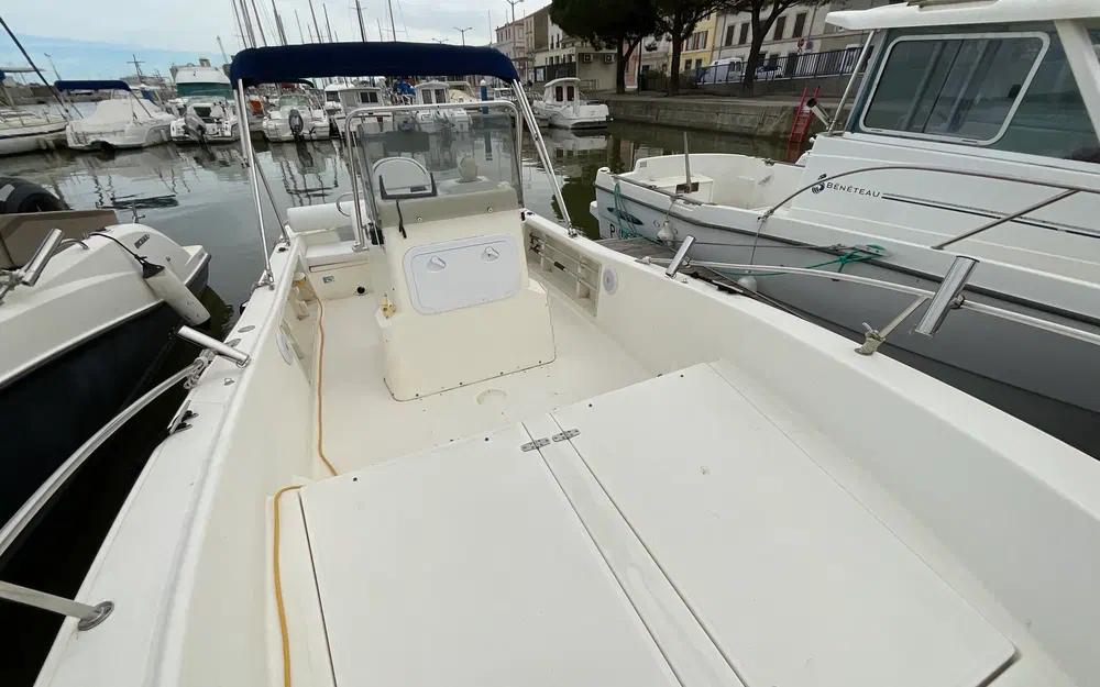 slider 12 White Shark 215