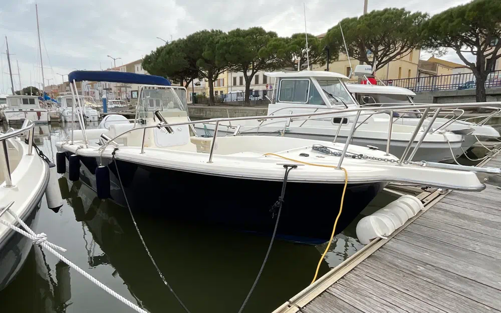 slider 1 Kelt White Shark 215