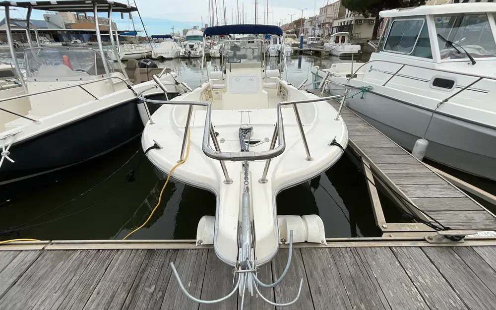 slider 3 Kelt White Shark 215