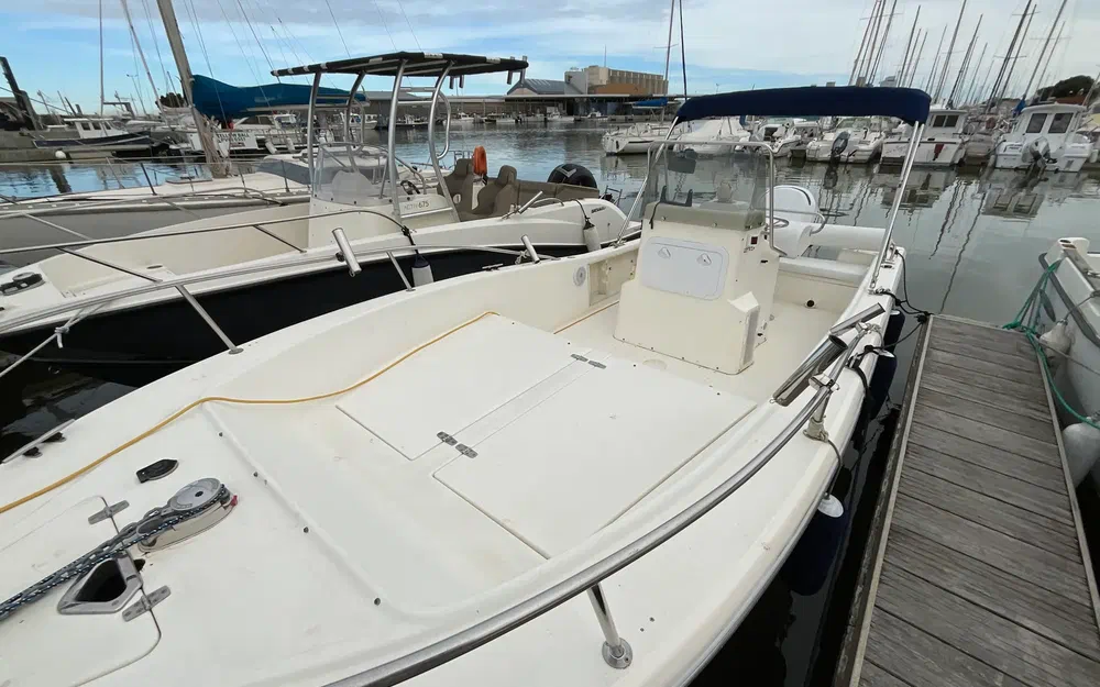 slider 4 White Shark 215