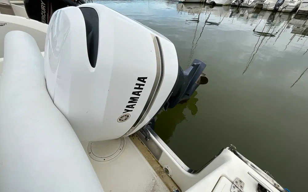 slider 9 White Shark 215