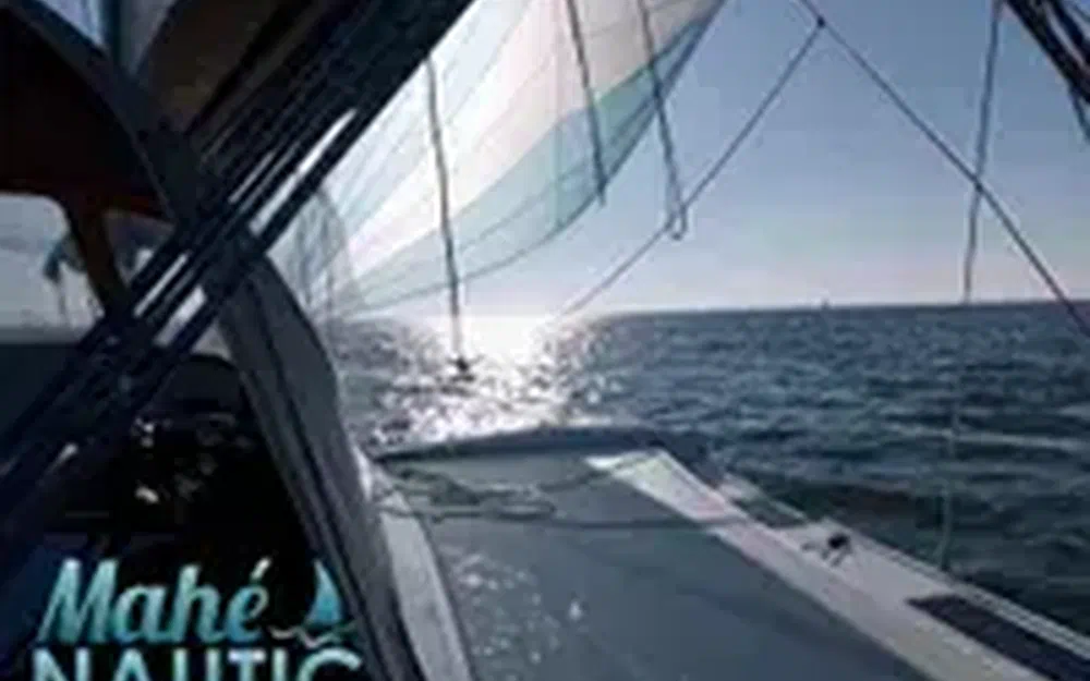 slider 2 Dragonfly 28