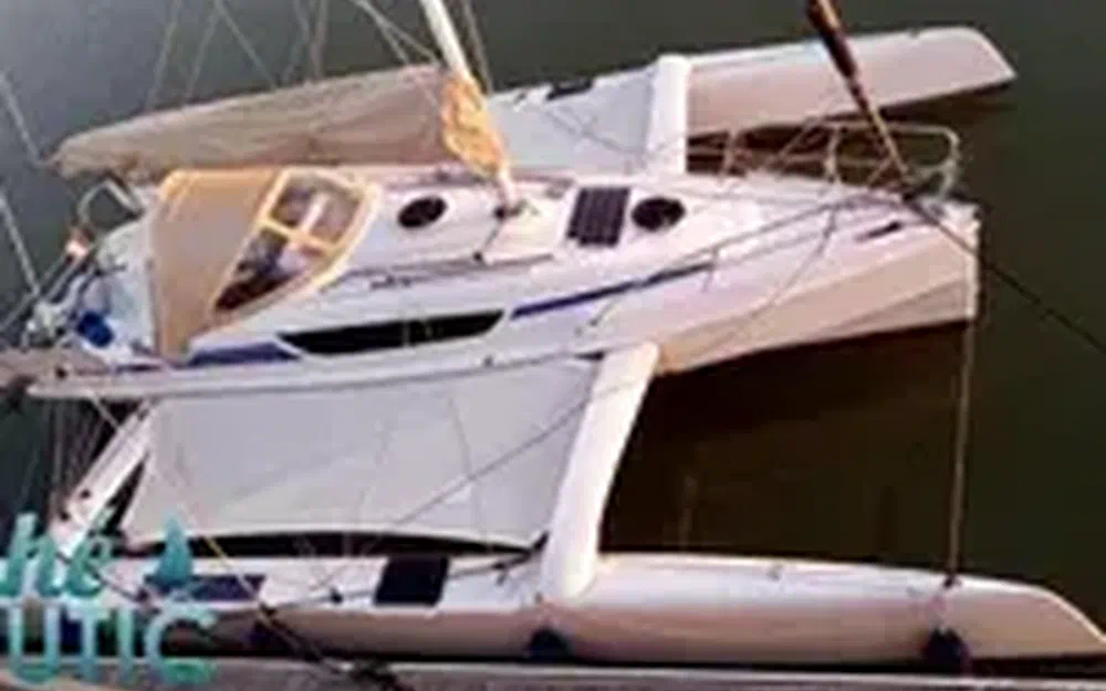 slider 5 Dragonfly 28