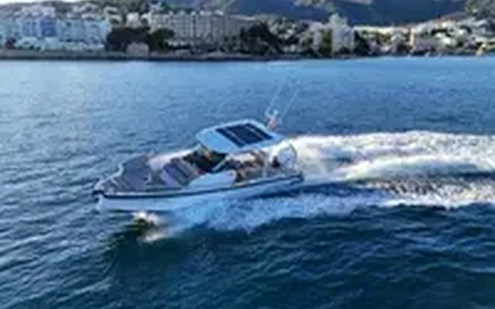 slider 3 Axopar 29 Sun Top